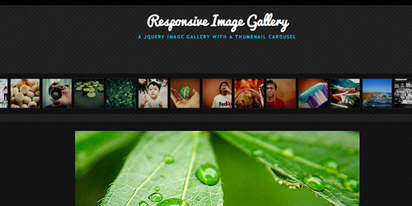 responsive image gallery plugin