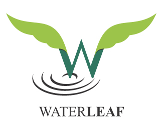 waterleaf